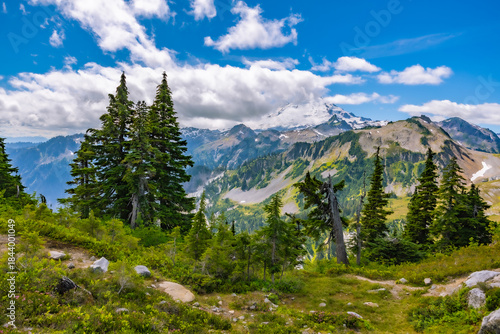 Billede på lærred Evergreen trees in the foreground framing distant rugged mountain peaks beneath a partly cloudy blue sky in the North Cascades of Washington