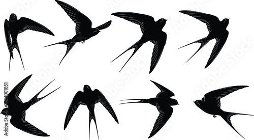 Black swallow birds silhouettes set, barn swallows, swift flight pose collection, flying migratory birds, animal nature wildlife, isolated vector illustration, realistic freedom.