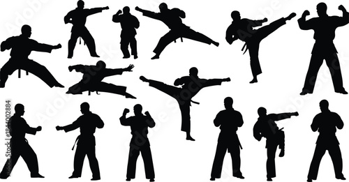 Karate silhouettes, set of vector illustrations showing various high-action poses, including punches, high kicks, blocks, and fighting stances, isolated on white background, martial arts concept.