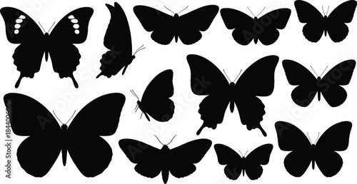 Butterfly silhouettes collection, black insect shapes set, flying butterflies icons, nature wildlife design elements, vector illustration