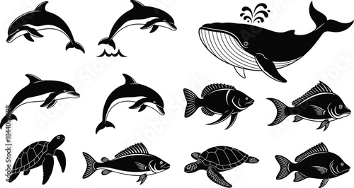 Marine animal silhouette set featuring dolphins, whale, fish and sea turtles in detailed black graphic illustration for ocean wildlife design projects