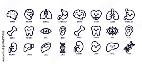 Cute human internal organs and body parts with smiling faces in a collection of outline icons
