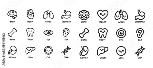 Adorable human internal organs and body parts with smiling faces in a collection of outline icons