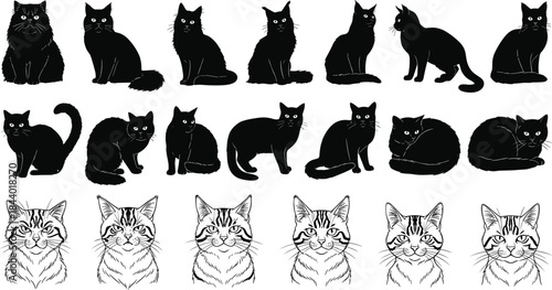 Cat silhouette and face illustration, feline poses, expressive line art, black vector design, pet animal graphic, whiskers, tail, fur, emotion