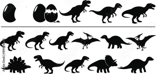 Dinosaur evolution silhouettes set, black and white prehistoric animals vector illustration, eggs to adult stages, Jurassic and Cretaceous reptiles collection