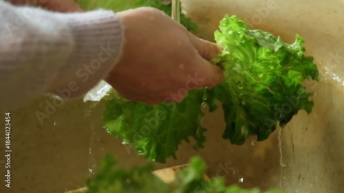 Slow motion video of fresh lettuce leaves being washed under running water at kitchen faucet