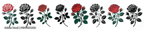 Romantic Rose Flower Vector Collection in Red and Black for Valentine’s Day, Love Theme, Floral Design and Elegant Artwork