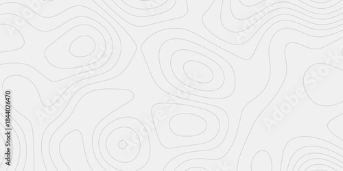 High Detail Topographic Line Art Pattern
Minimal Monochrome Terrain Diagram Design