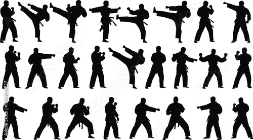 Comprehensive Martial Arts Silhouettes Vector Set featuring People Practicing Karate, Taekwondo, and Judo in Various Dynamic Fighting and Training Poses.