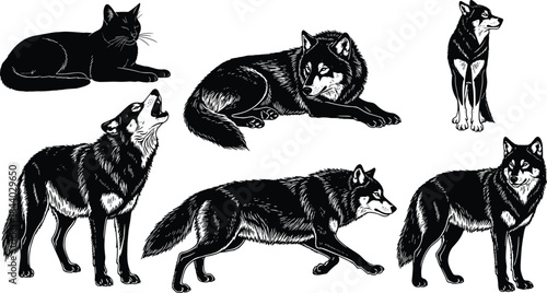 Detailed Black Silhouette Set of Wolves and Wild Cat Animals in Various Howling Standing and Lying Poses for Wildlife and Nature Design Vector Illustration