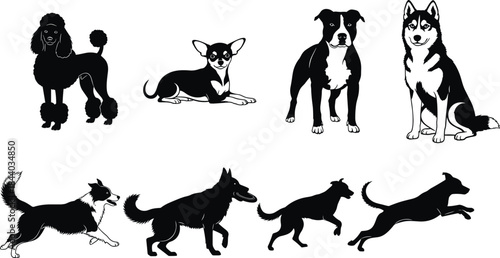 Poodle, Husky, Pitbull, Chihuahua, and Shepherd in Sitting, Running, and Jumping Poses