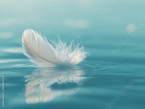 Feather in Blue Water