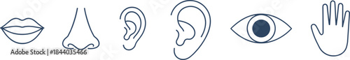 Icons of Human Five Senses and Body Parts