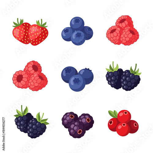 Assortment of Fresh Berries Strawberries, Raspberries, Blueberries, Blackberries, and Cranberries