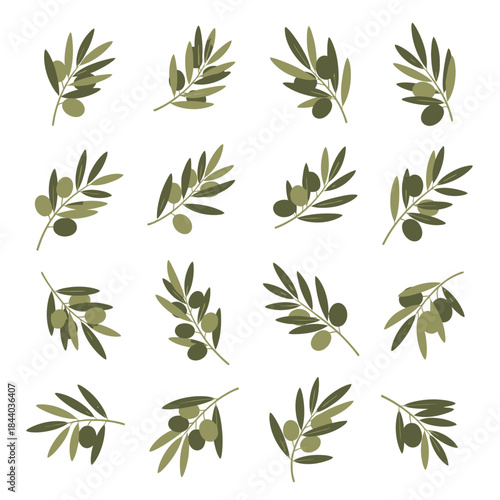 Collection of Illustrated Olive Branches with Green Olives, Perfect for Culinary and Mediterranean Designs