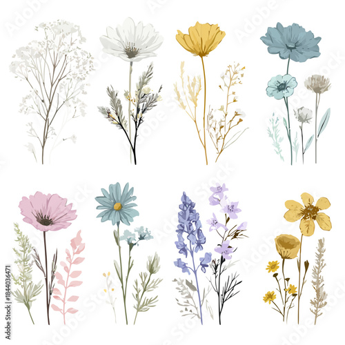 Watercolor Botanical Collection Hand-Drawn Floral Illustrations Set for Design Projects