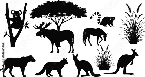 Black silhouette collection of diverse animals and plants on white background koala tree