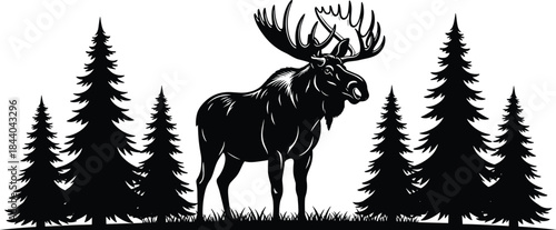 Black silhouette of a large moose standing in a forest of pine trees deer animal