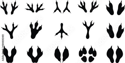 Collection of Black Animal Footprints and Bird Tracks on White Background animal tracks paw prints