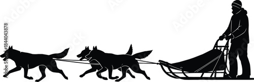 Silhouette of person with dogs pulling a sled dog sledding sled dog