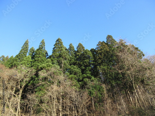 青空と初冬の里山