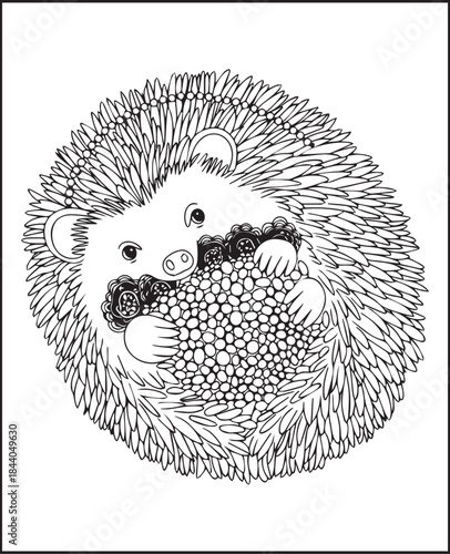 Animal coloring page for adults, Hand drawn hedgehog with doodle and ornamental detailed line art vector illustration for anti stress coloring book design elements