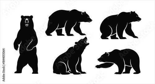 Set of Diverse Bear Silhouettes in Various Poses and Actions