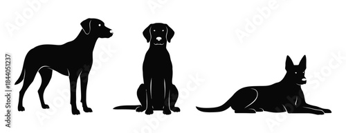 Elegant black dog silhouettes showcasing diverse canine postures standing, sitting, and resting