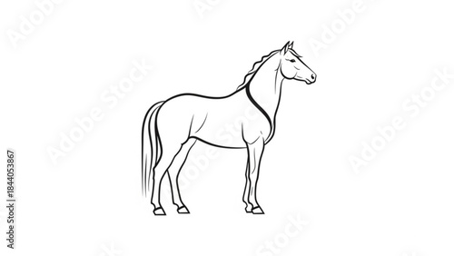Elegant horse illustration a detailed line drawing of a standing stallion with a flowing mane perfect for equestrian art and design