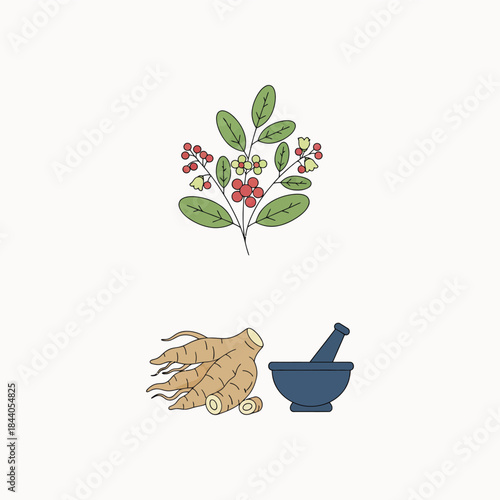 Ashwagandha: Nature's Stress Relief and Adaptogen for Wellness