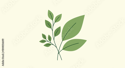 A simple illustration featuring two green plant branches with various sized leaves, set against a plain light background.