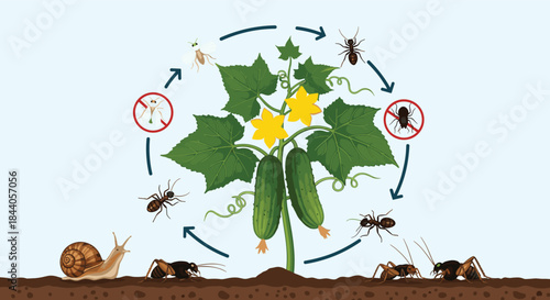 Integrated pest management strategy illustration showing various insect and mollusk pests affecting a cucumber plant and methods of control.