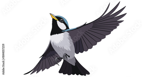 A small blue-headed bird with white cheeks and black markings takes flight against a clean white background, looking up with its yellow beak.