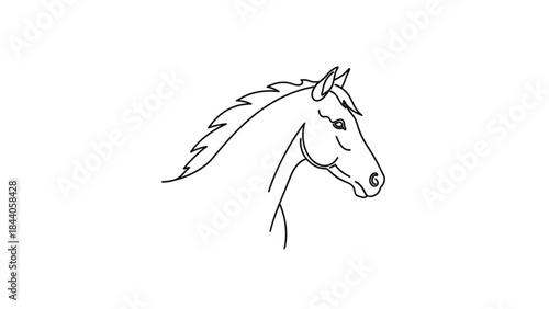 Minimalist horse head outline simple line art illustration of a stallion for equestrian branding and farm logos isolated on white