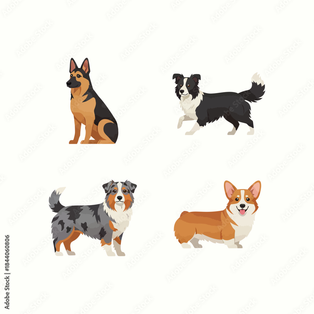Fototapeta premium Adorable Shepherd Dog Playing in the Park