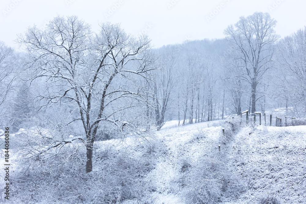 Obraz premium peaceful snowy mountain landscape in countryside