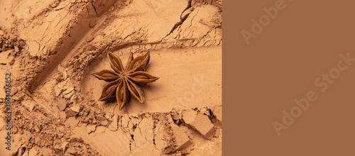 grunge background with spider web