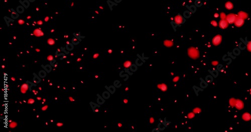 Red rose petals sway in the wind. Isolated on black background. 4K 3D rendering loop animation.