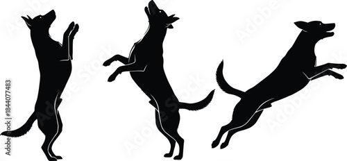 Black and white vector silhouette set of an active dog jumping and standing on hind legs, showing motion, playfulness, excitement, and agility for pet training concepts.