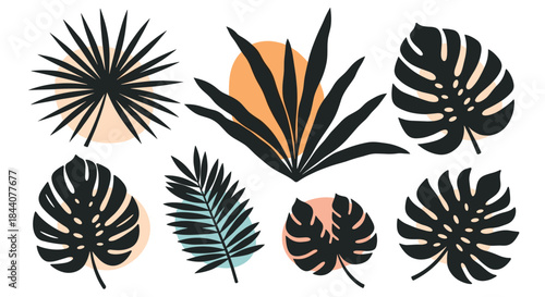 Stylized black tropical leaves and palm fronds with colorful abstract shapes, creating a contemporary botanical and exotic design element.