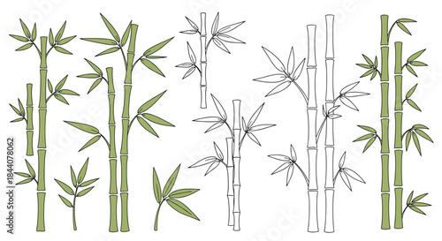 Hand-drawn illustration of bamboo stalks and leaves in both solid green and outline styles, perfect for nature-inspired designs.