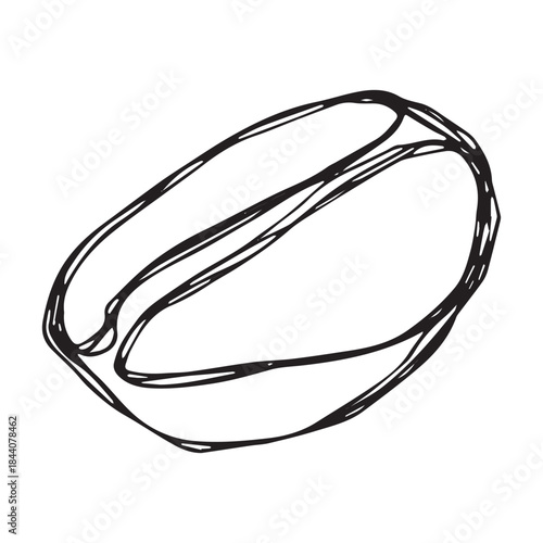 Hand drawn fresh roasted coffee bean Arabica robusta seed doodle Single element for print, web, design, decor