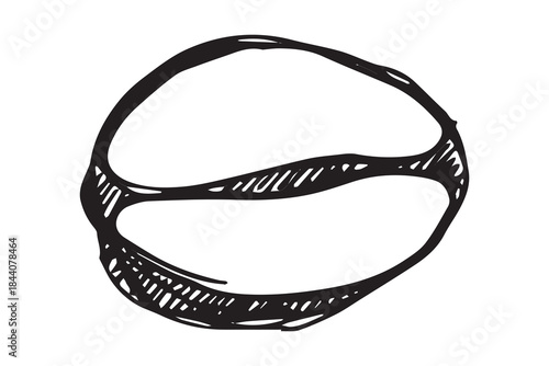 Hand drawn fresh roasted coffee bean Arabica robusta seed doodle Single element for print, web, design, decor