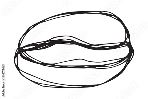 Hand drawn fresh roasted coffee bean Arabica robusta seed doodle Single element for print, web, design, decor