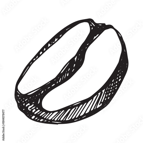 Hand drawn fresh roasted coffee bean Arabica robusta seed doodle Single element for print, web, design, decor