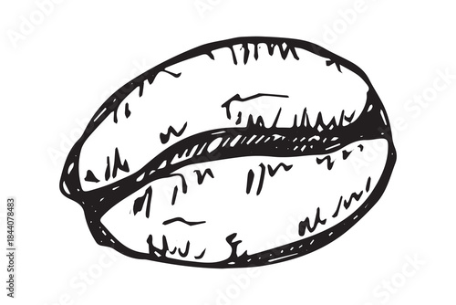 Hand drawn fresh roasted coffee bean Arabica robusta seed doodle Single element for print, web, design, decor