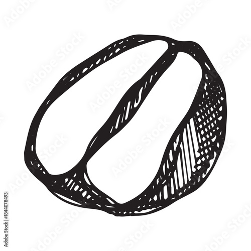 Hand drawn fresh roasted coffee bean Arabica robusta seed doodle Single element for print, web, design, decor