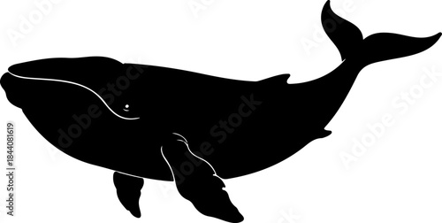 Whale fish silhouette vector illustration