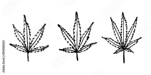 Set of hand drawn cannabis leaf Medicine marijuana Hemp leaves clipart in doodle style Single element for print, web, design, decor