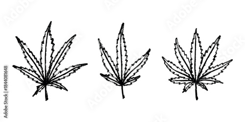 Set of hand drawn cannabis leaf Medicine marijuana Hemp leaves clipart in doodle style Single element for print, web, design, decor